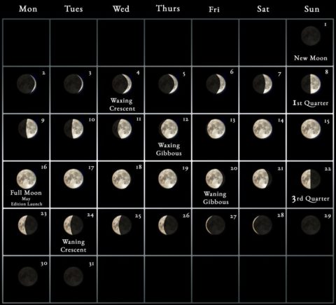 2022 Moon calendar