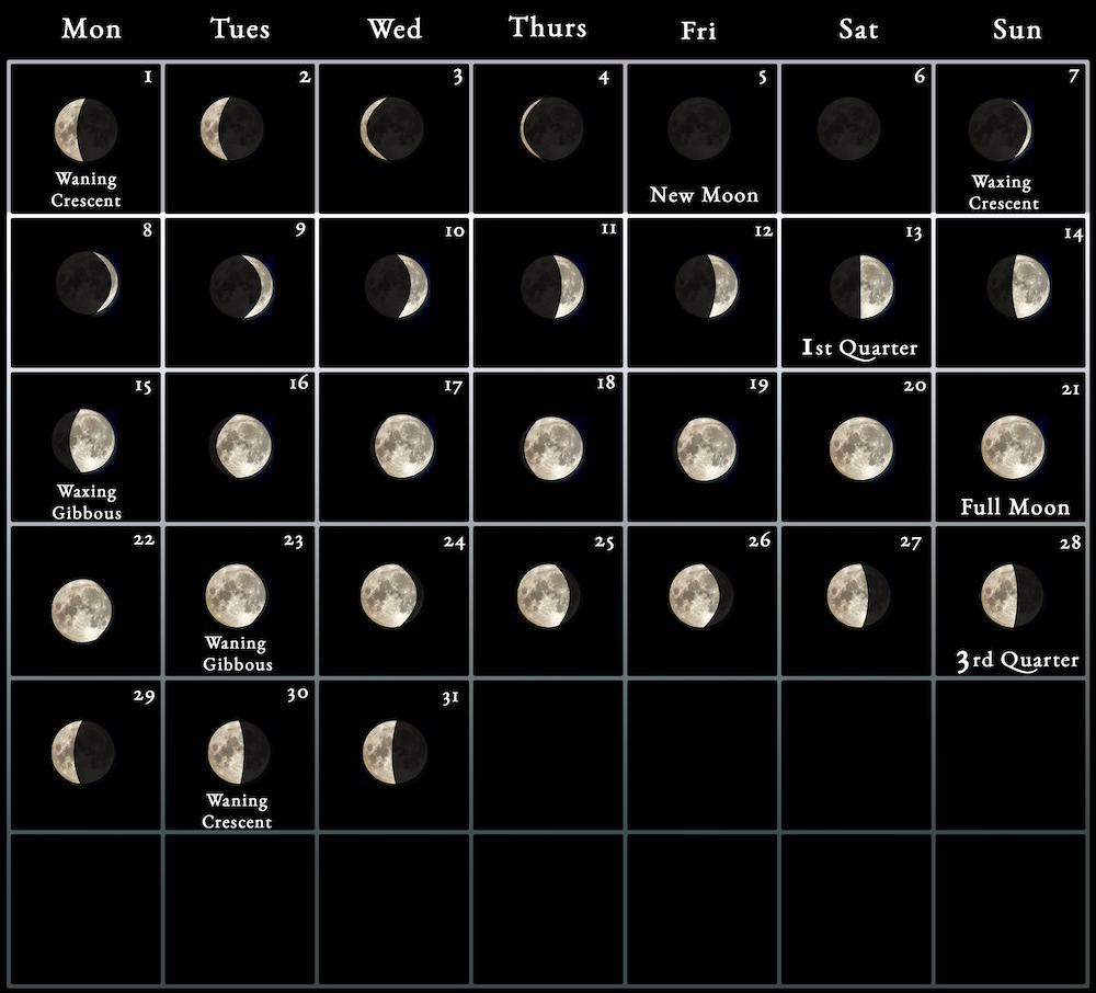 Moon Phase July 14 2024 Jami Rickie
