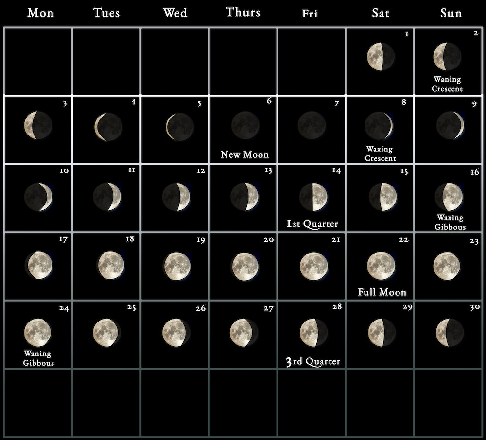 moon calendar june 2023