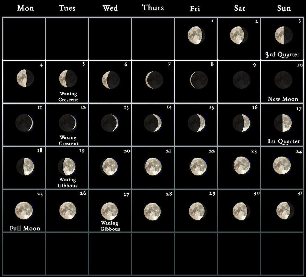 2025 Calendar Moon Phases Talia Yasmin